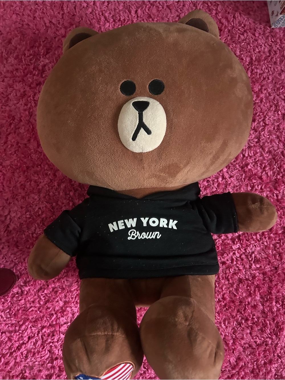 LINE FRIENDS Brown Bear Plush Toy inNew York Brown 18 inch